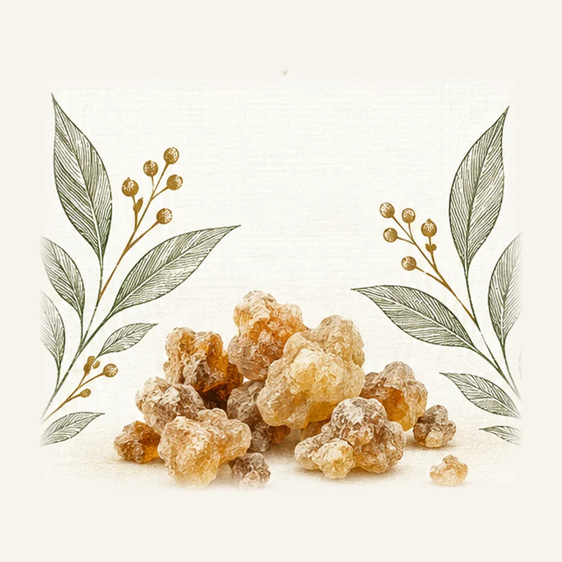 Loban botanical fragrance illustration